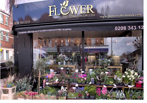 Flower Collection, Finchley Central 