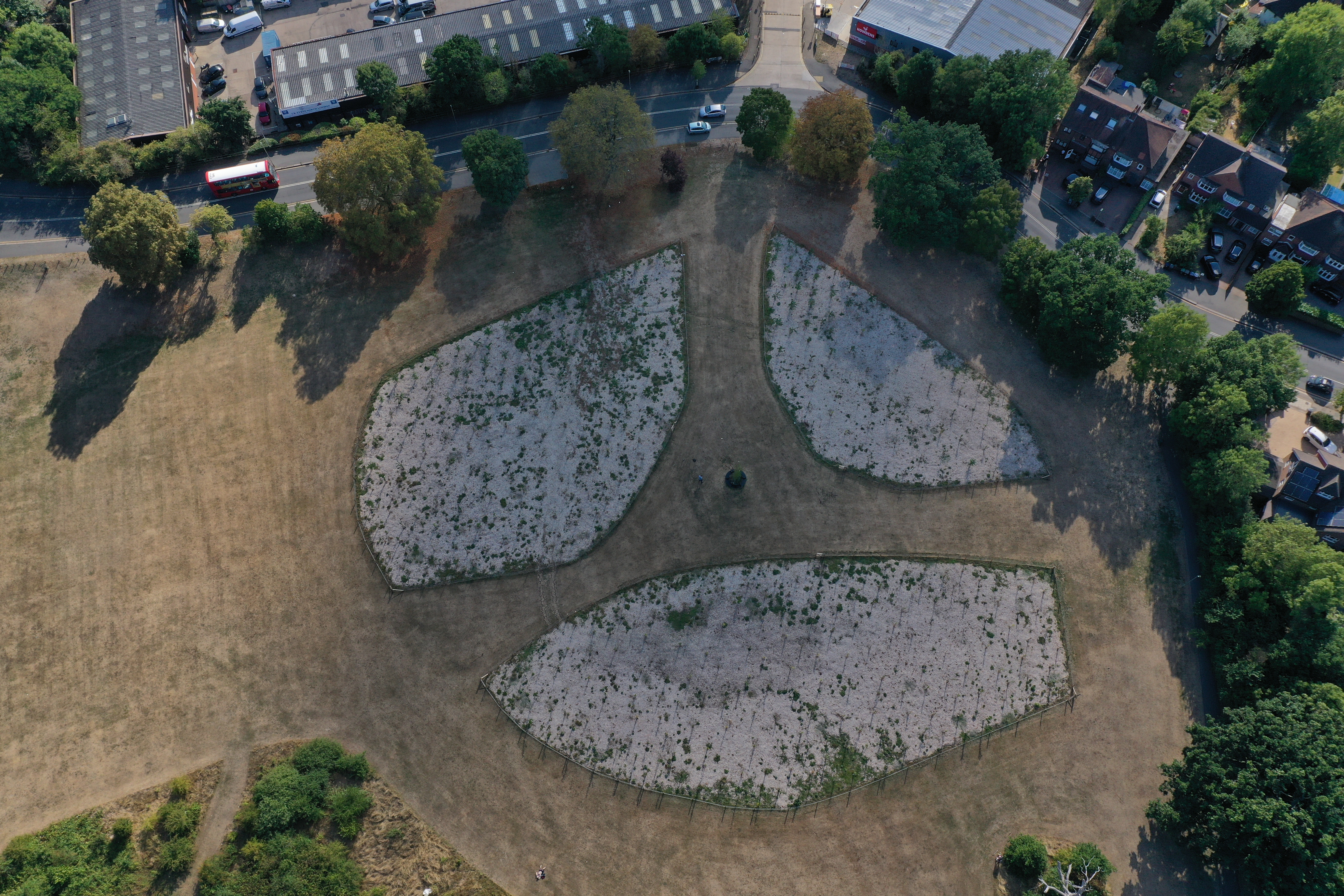 The Barnet Memorial Woodland from above