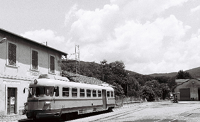 Black and white train at station with trees in background