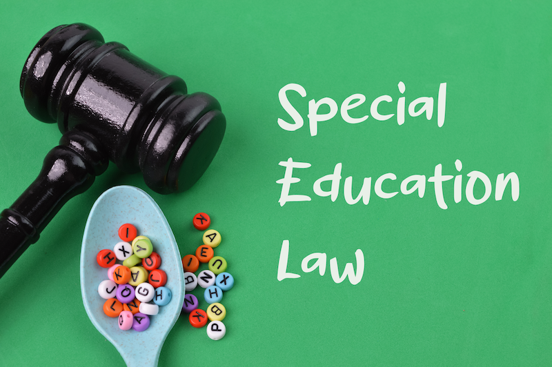 Special education law image