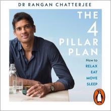 The 4 Pillar Plan - book cover