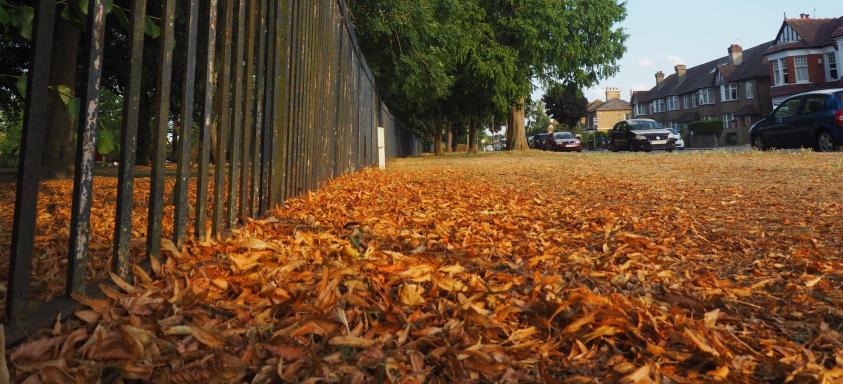 Barnet Council has formed a specialist leaf-sweeping squad